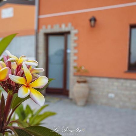 La Pomelia B&B Sofia ทรัปปิเตลโล ภายนอก รูปภาพ