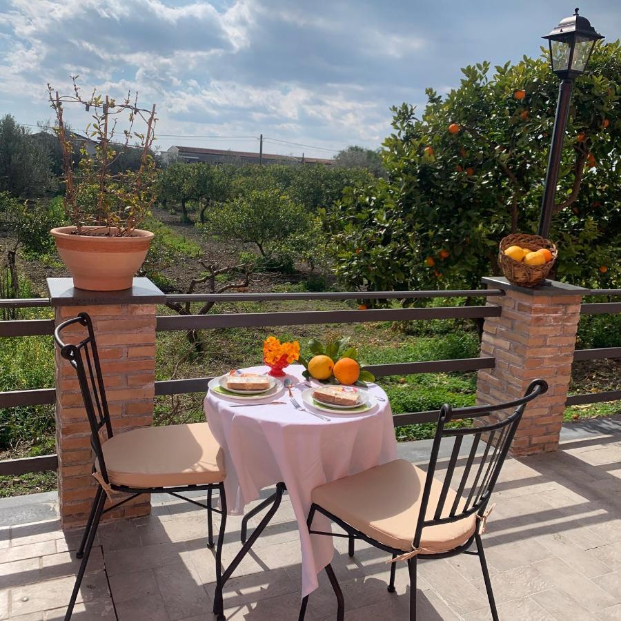 La Pomelia B&B Sofia ทรัปปิเตลโล ภายนอก รูปภาพ