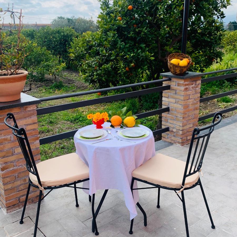 La Pomelia B&B Sofia ทรัปปิเตลโล ภายนอก รูปภาพ