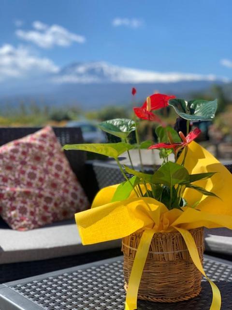 La Pomelia B&B Sofia ทรัปปิเตลโล ภายนอก รูปภาพ