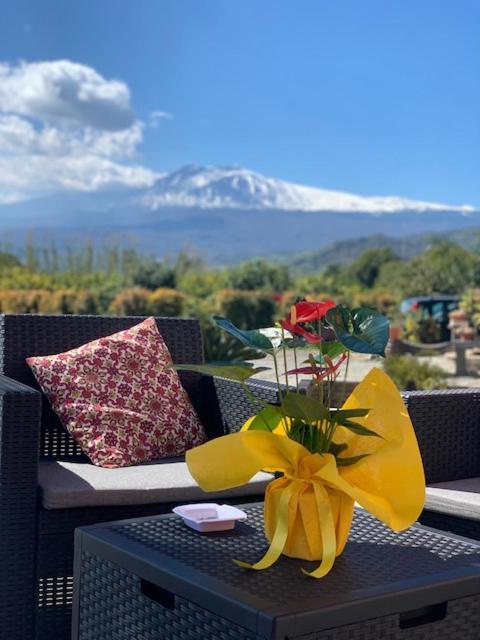 La Pomelia B&B Sofia ทรัปปิเตลโล ภายนอก รูปภาพ
