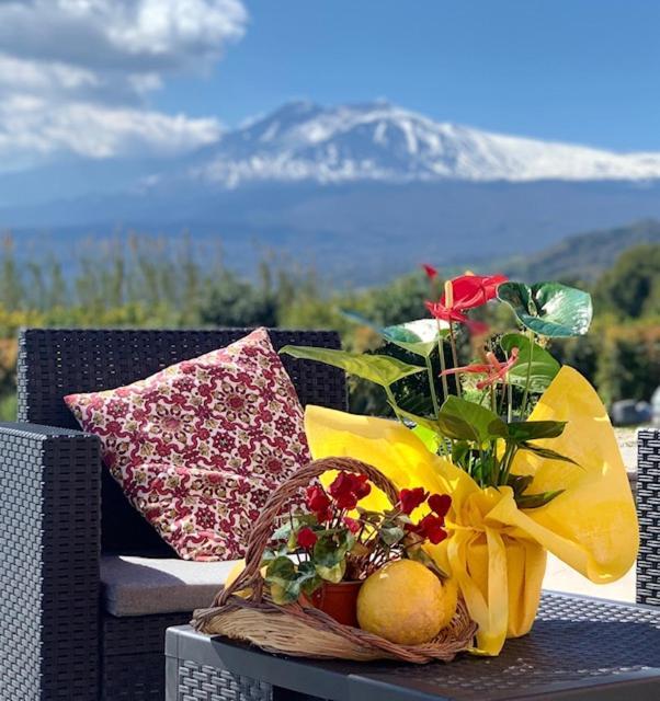 La Pomelia B&B Sofia ทรัปปิเตลโล ภายนอก รูปภาพ