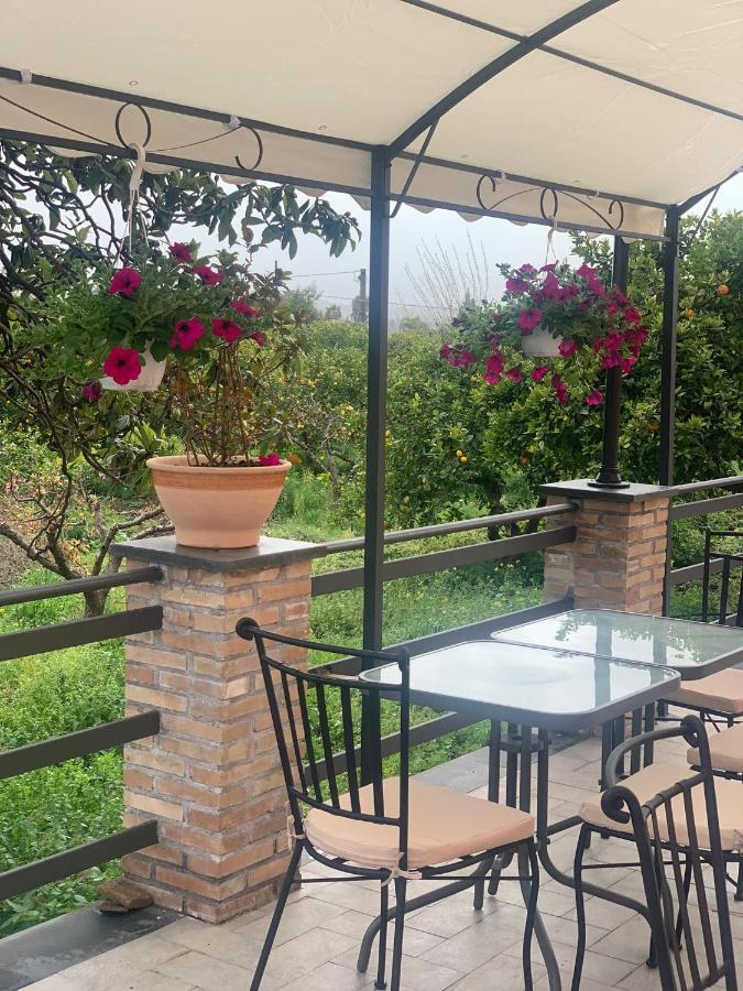 La Pomelia B&B Sofia ทรัปปิเตลโล ภายนอก รูปภาพ