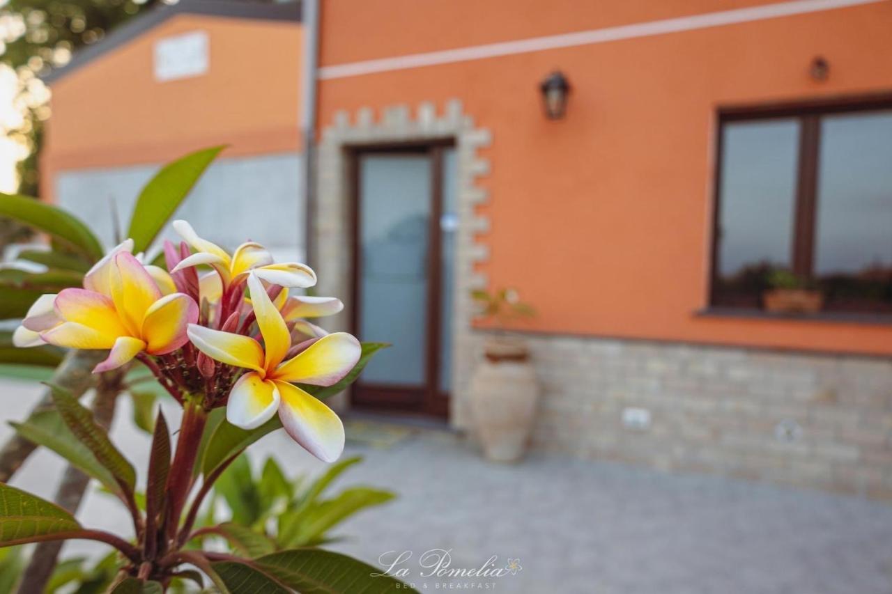 La Pomelia B&B Sofia ทรัปปิเตลโล ภายนอก รูปภาพ
