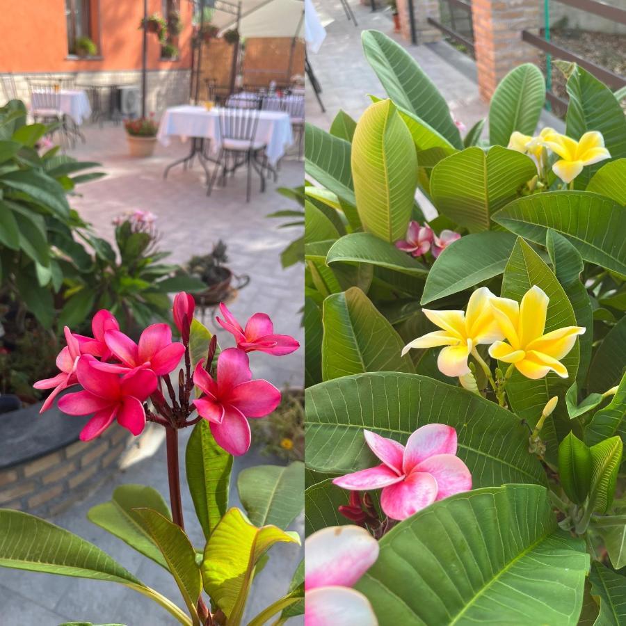 La Pomelia B&B Sofia ทรัปปิเตลโล ภายนอก รูปภาพ