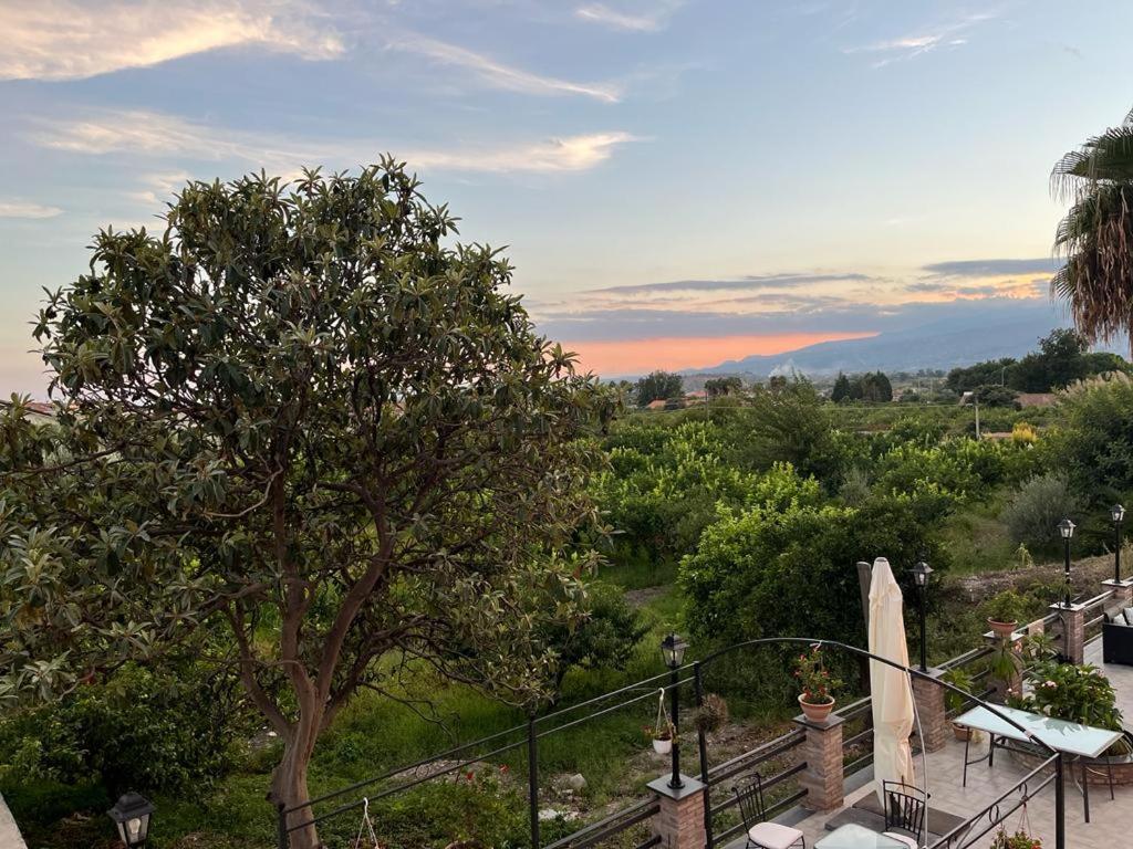 La Pomelia B&B Sofia ทรัปปิเตลโล ภายนอก รูปภาพ